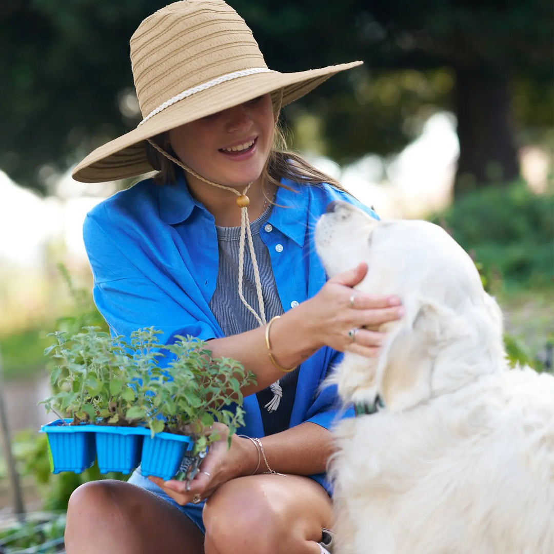 360FIVE Chapeau de tous les jours – Chapeau de soleil à large bord en paille de jardinage Aloe Fedora